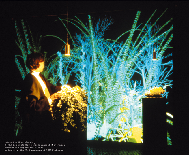Christa Sommerer & Laurent Mignonneau: Interactive Plant Growing, Installationsansicht 1992.