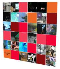 PointScreen