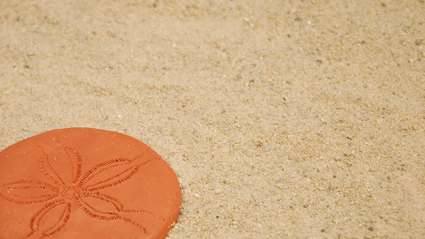 ... and tells us about "The Legend of the Sanddollar"