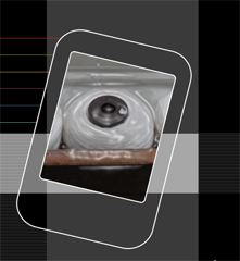 Momeus - Logo Momeus - Logo