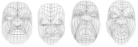Interactive Evolution