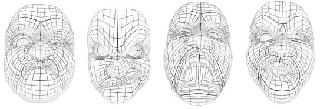 Interactive Evolution Interactive Evolution