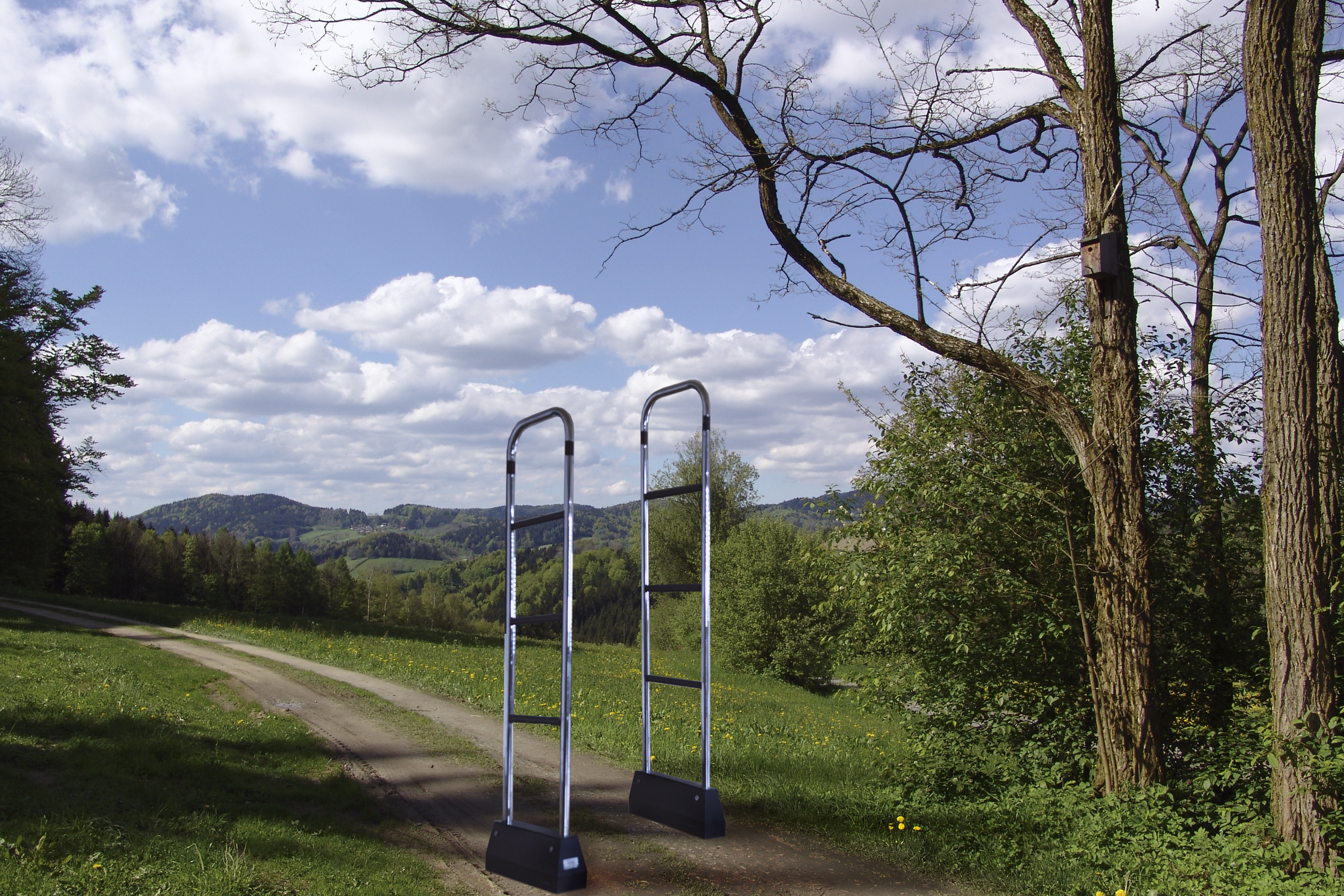 ctrl4 auf einem Waldweg